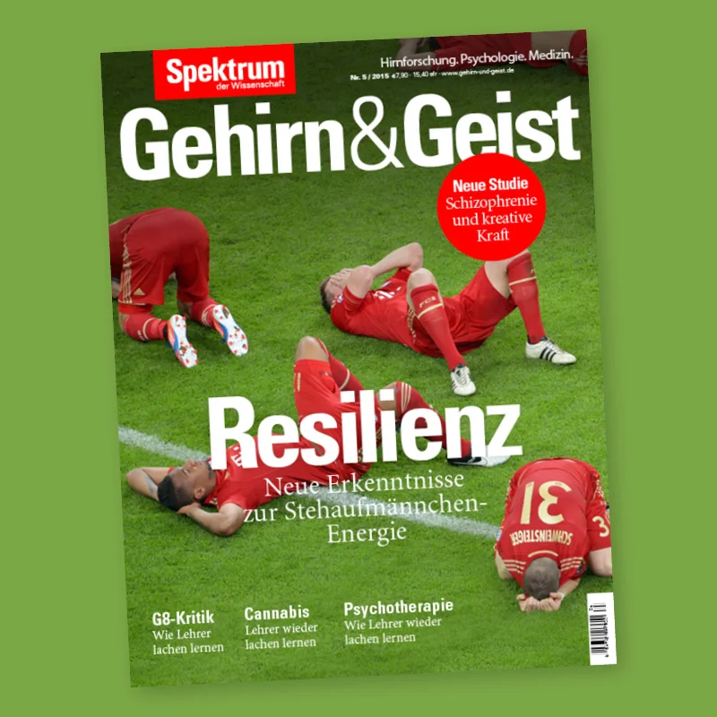 Gehirn & Geist (3/5)